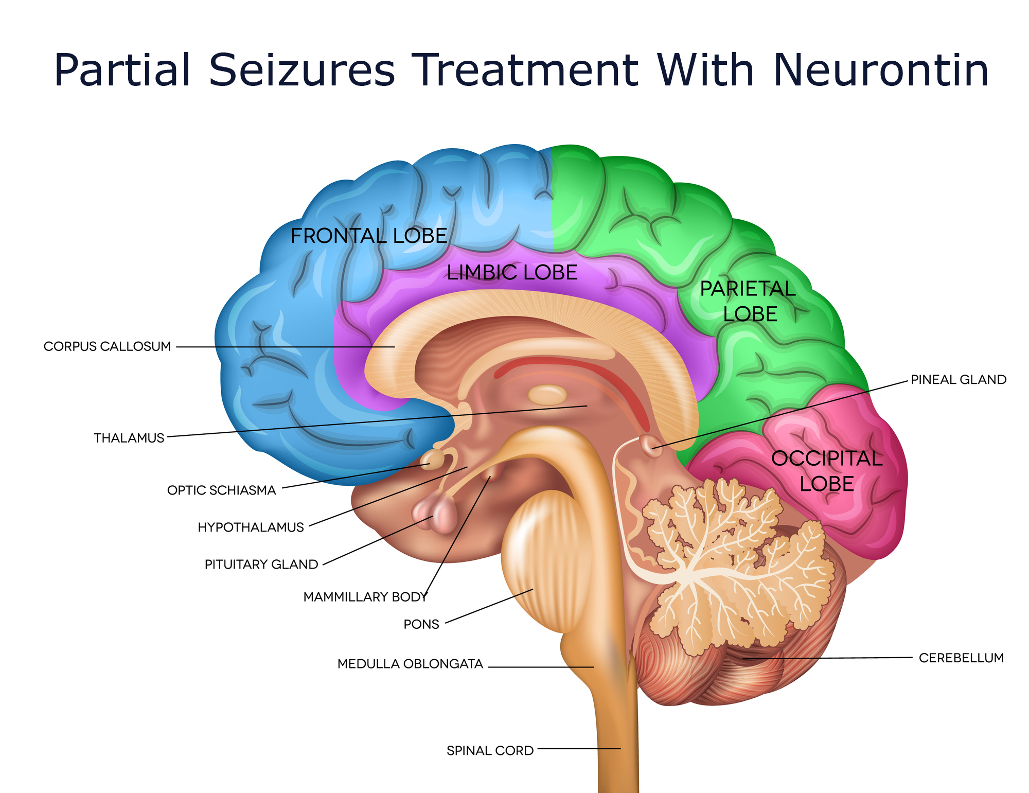 Partial Seizures Treatment With Neurontin